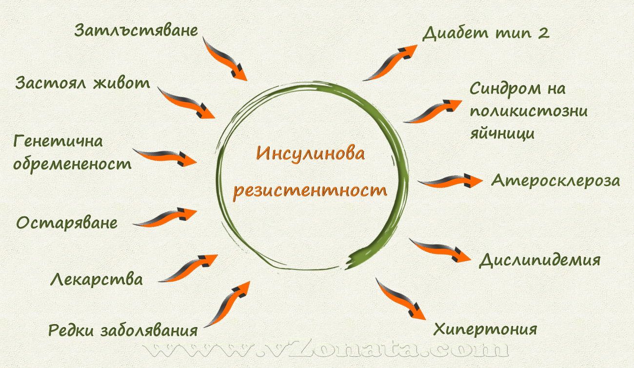 Тест Инсулиновата резистентност