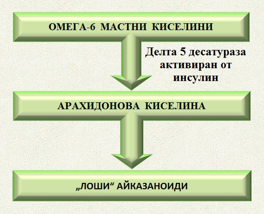 Арахидонова киселина