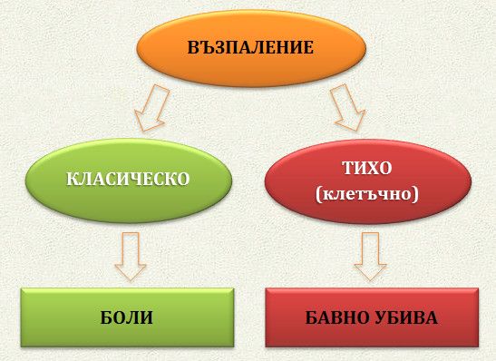 Арахидонова киселина