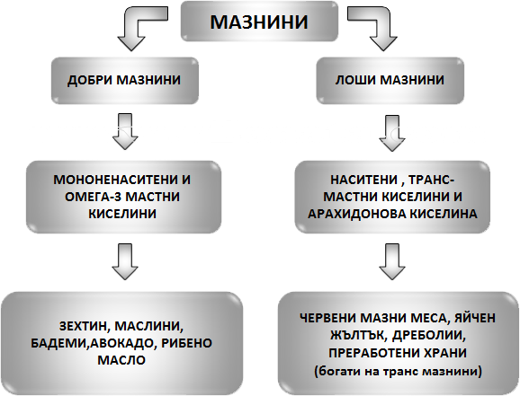 Мазнини в Зоната